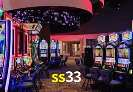 Security Systems ss33
